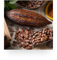 Abbildung Kakaobohnen